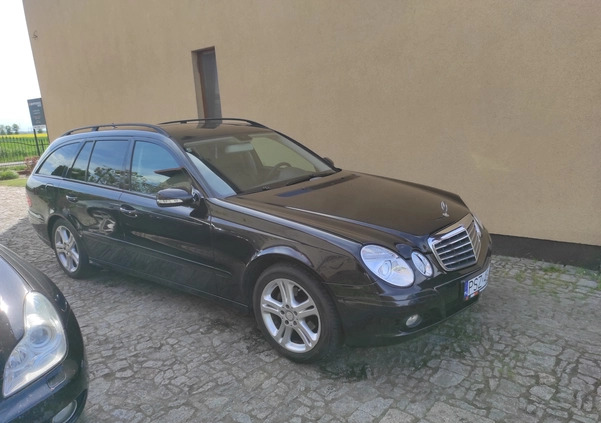 Mercedes-Benz Klasa E cena 23800 przebieg: 219000, rok produkcji 2007 z Szamotuły małe 254